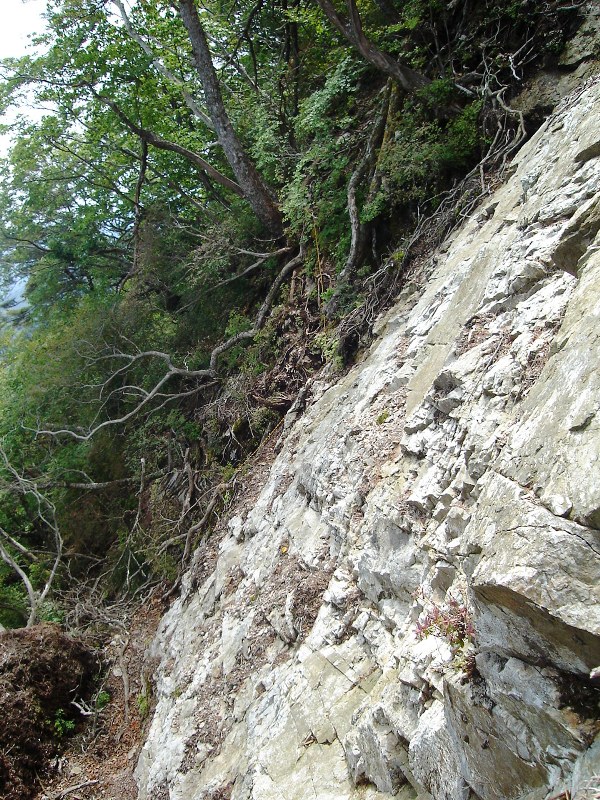 f0039234_17522012.jpg