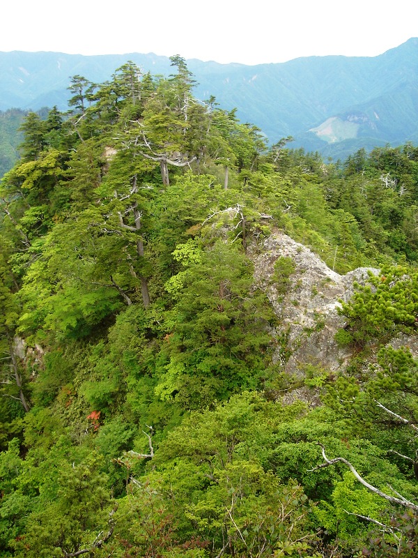 f0039234_17532715.jpg