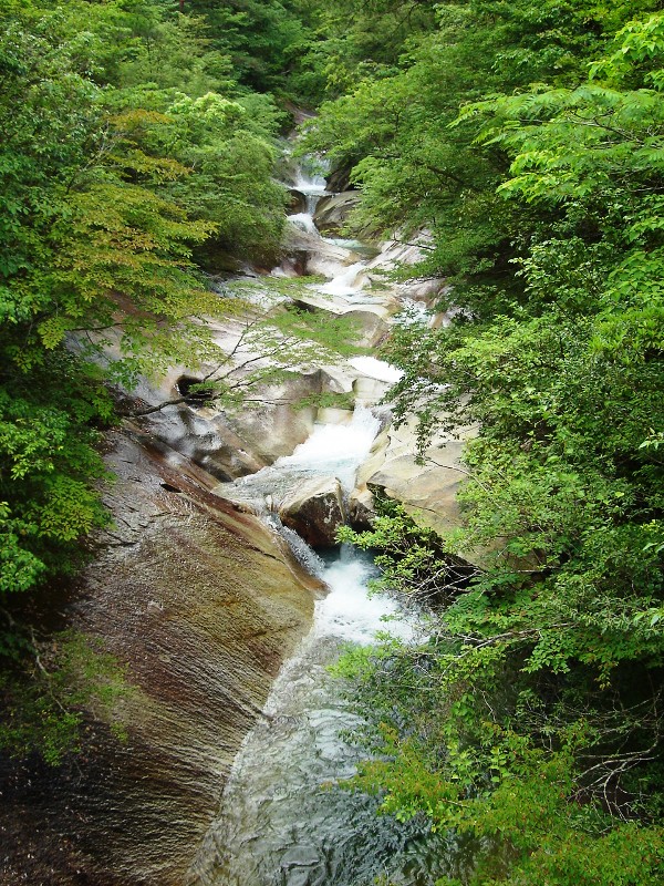 f0039234_1753478.jpg