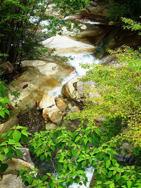f0039234_17535814.jpg
