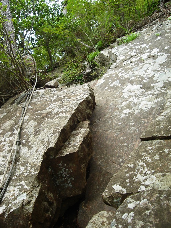 f0039234_17553858.jpg
