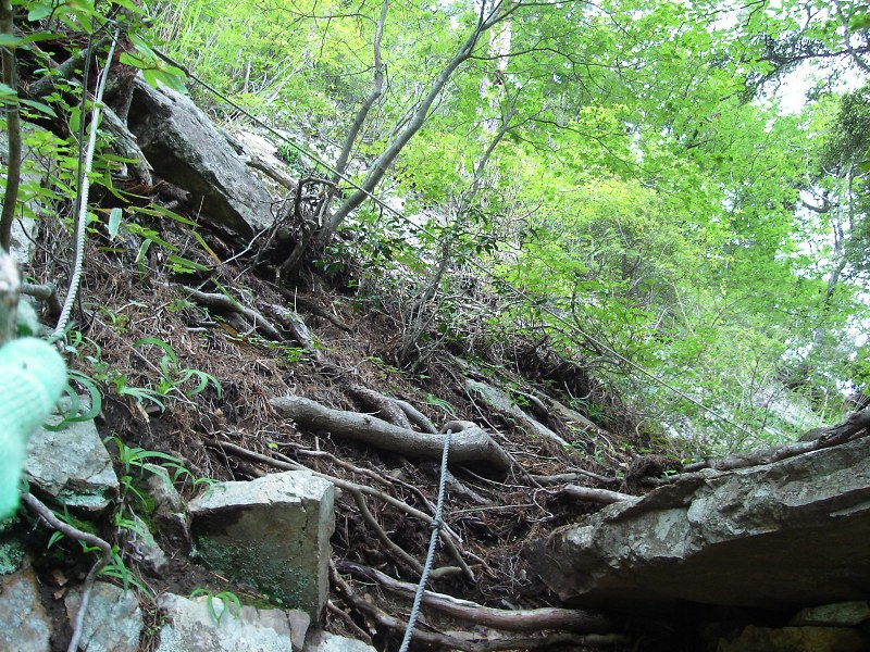 f0039234_1756229.jpg