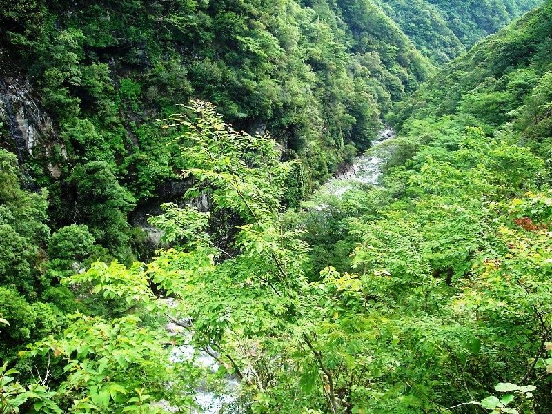 f0039234_1757964.jpg