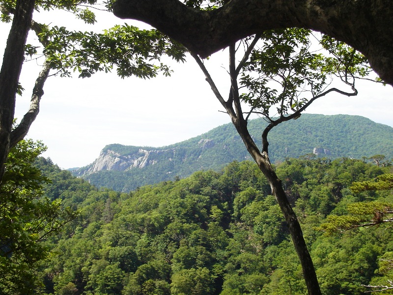 f0039234_18191199.jpg