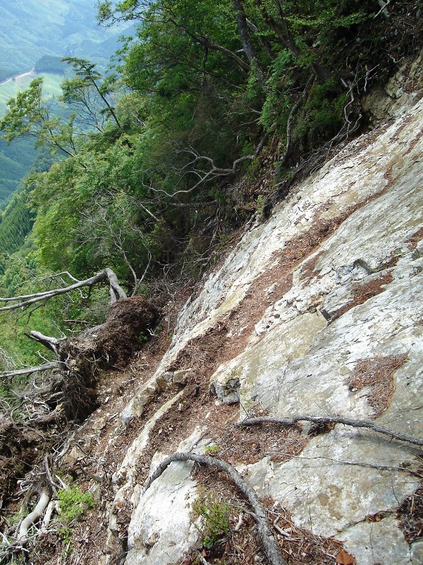 f0039234_18224326.jpg