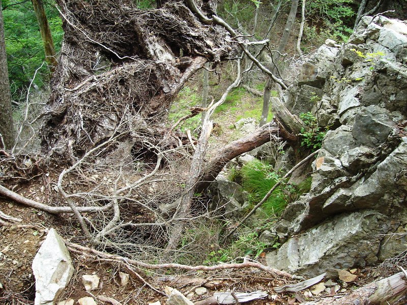 f0039234_18253350.jpg