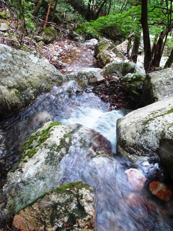 f0039234_1825415.jpg
