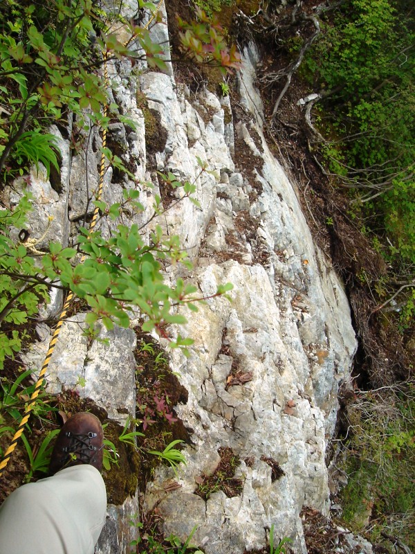 f0039234_18263854.jpg
