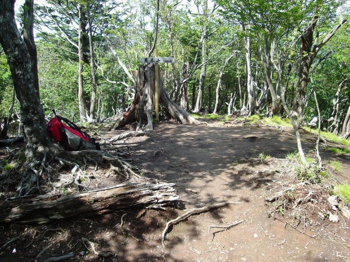 f0039234_18281967.jpg