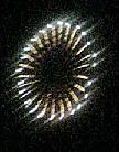 f0102437_22501465.jpg