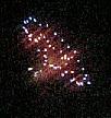 f0102437_2251366.jpg