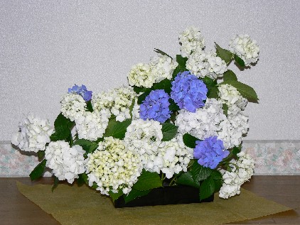 e0083238_15181070.jpg