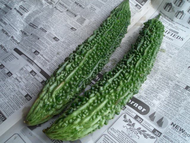 f0009451_554286.jpg