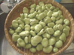 c0025852_164616.gif