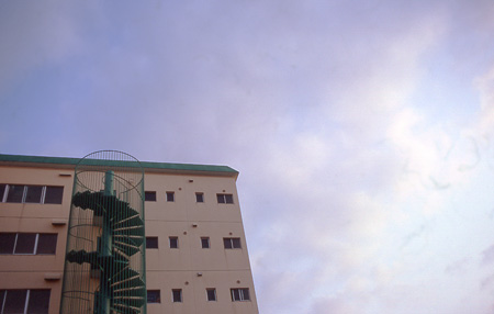 e0005553_1135478.jpg