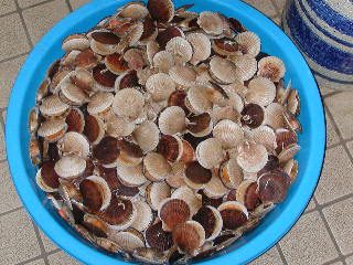 e0004756_2033491.jpg