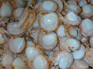 e0004756_20403670.jpg