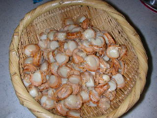 e0004756_2040653.jpg