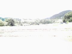 c0017664_10434168.jpg