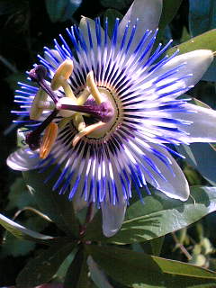 f0100480_816495.jpg