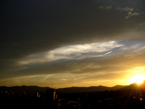 b0080789_14104826.jpg