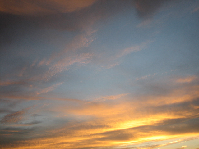 e0051194_035278.jpg