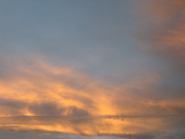 e0051194_0364416.jpg