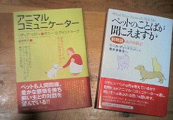 b0090201_10143967.jpg