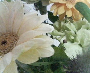 e0040804_6274427.jpg