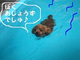 a0007906_11452210.jpg