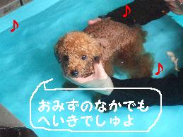 a0007906_11473691.jpg