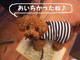 a0007906_13404387.jpg