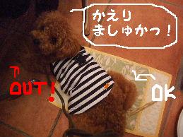 a0007906_13405527.jpg