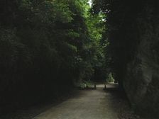f0017510_20483390.jpg