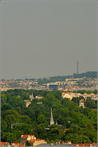 f0080510_1429335.jpg