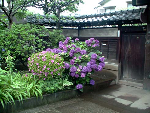 c0018716_2122034.jpg