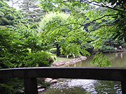 d0042618_042465.jpg