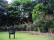d0042618_0431471.jpg