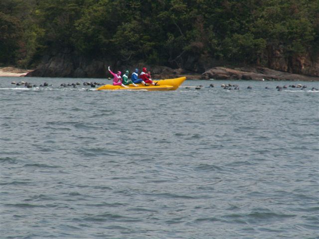 e0069622_20505640.jpg