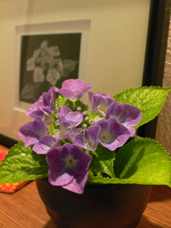 f0061334_16373411.jpg