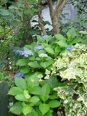 f0060535_23373118.jpg