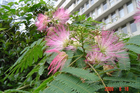 a0030639_2232296.jpg