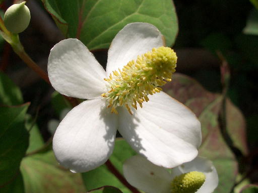 b0016043_17373442.jpg