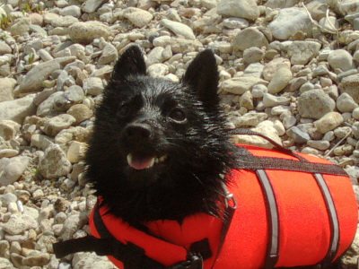 a0009750_933448.jpg