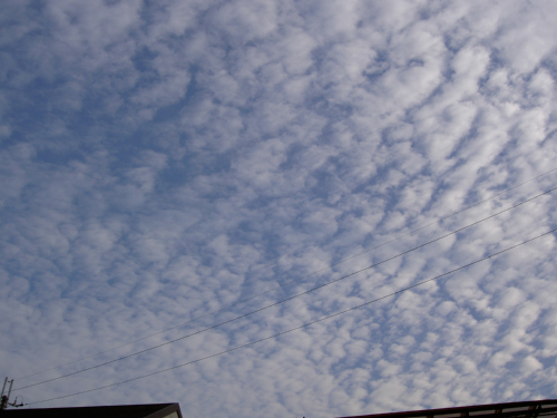d0007051_0483782.jpg