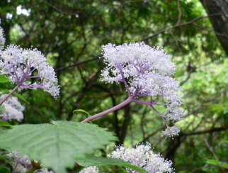 a0063364_22593143.jpg