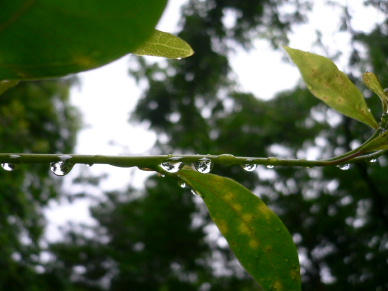 a0063364_230928.jpg