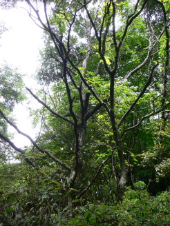 a0063364_231556.jpg