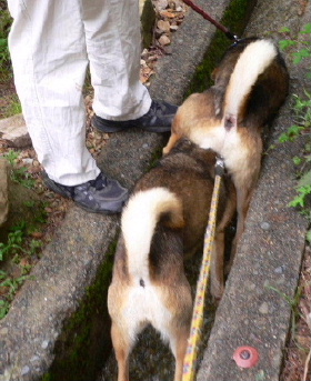 a0063364_2315849.jpg