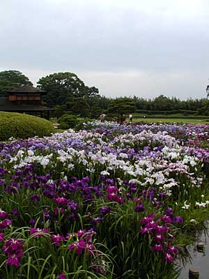 d0002472_1392936.jpg